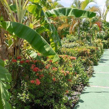 Perle Des Caraibes , Bungalow Moderne N° 14 Le Gosier  Extérieur photo